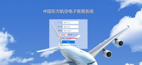 基于.NET的飞机订票系统设计 面向旅客票务代理的解决方案